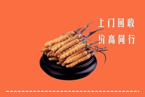 高价求购：樟树市回收散虫草