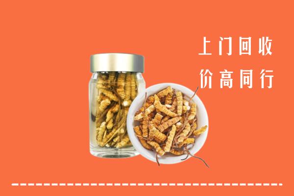 收购行情：樟树市回收冬虫夏草